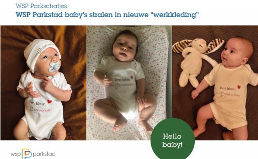 WSP Parkschatjes collage