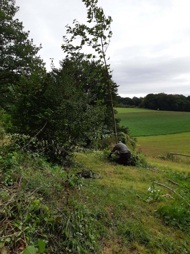 Staatsbosbeheer